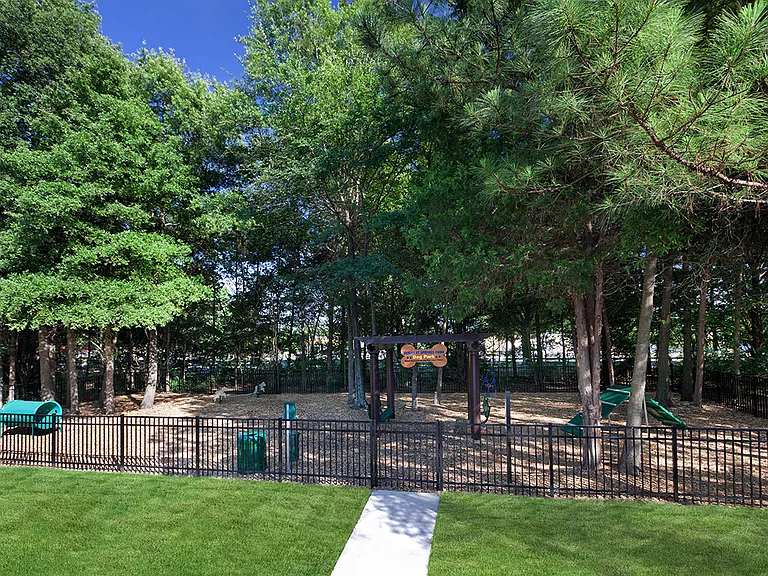 Dog Park