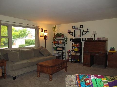 Living Room - lots of light!