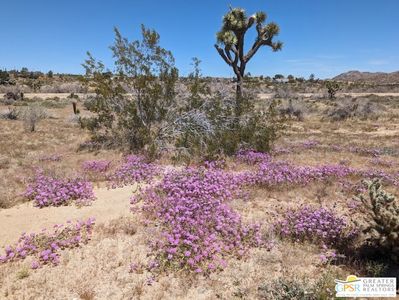 0 Barron Ave, Yucca Valley, CA, 92284