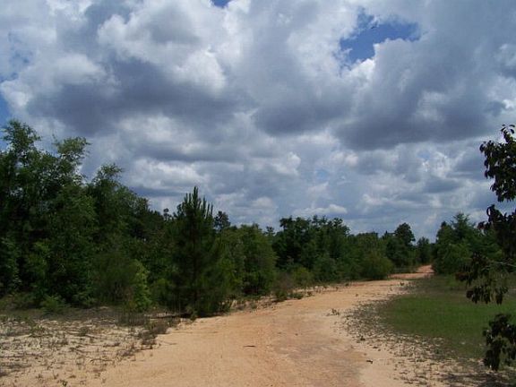 2nd image of Corral Dr