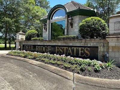 14 Pallavi Woods Dr, Humble, TX, 77339