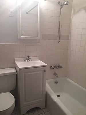 Rented by Eric Goodman Realty Corp | media 2