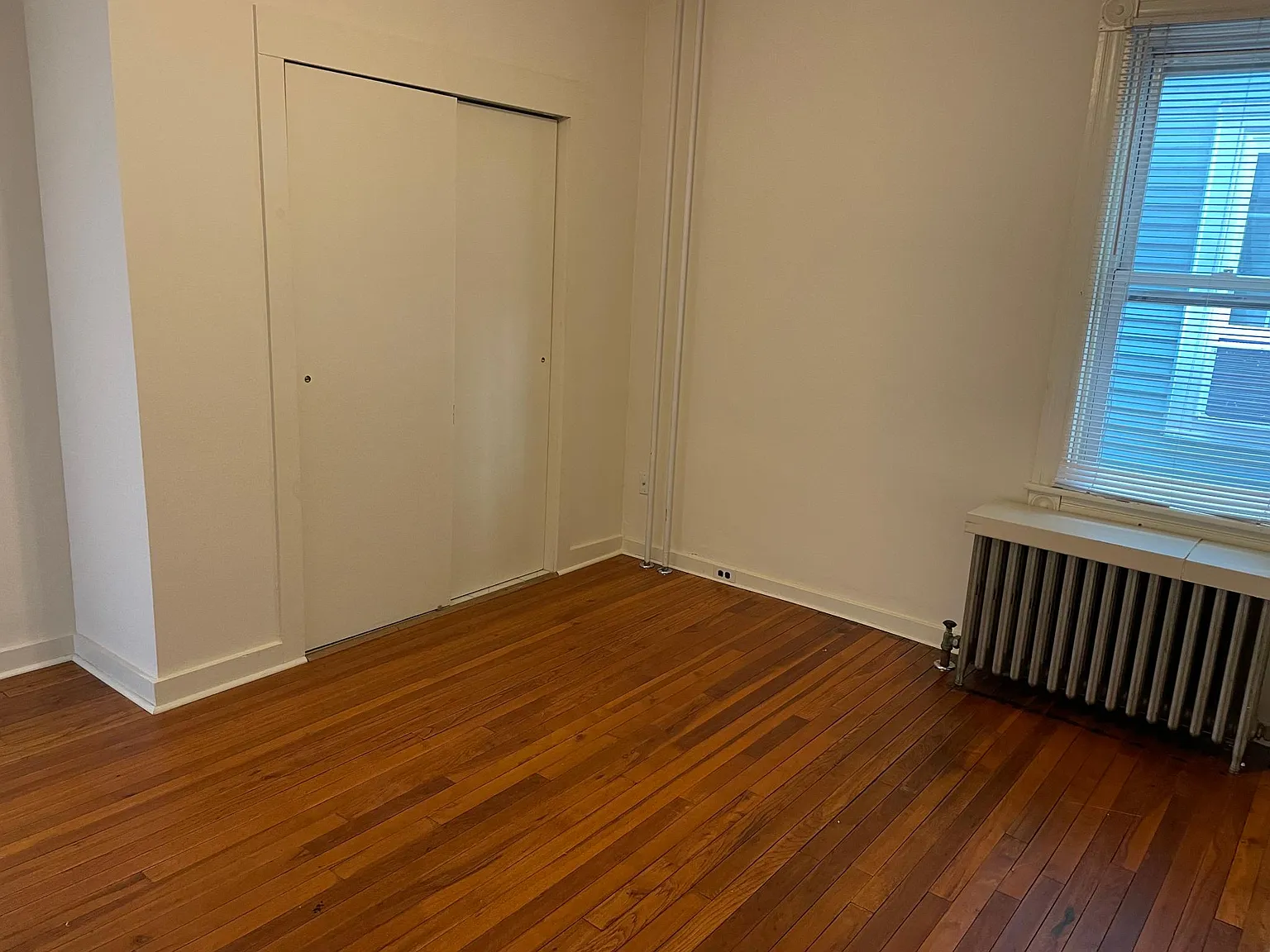 1 bed, 800 sqft, $1,150 — Photo 3