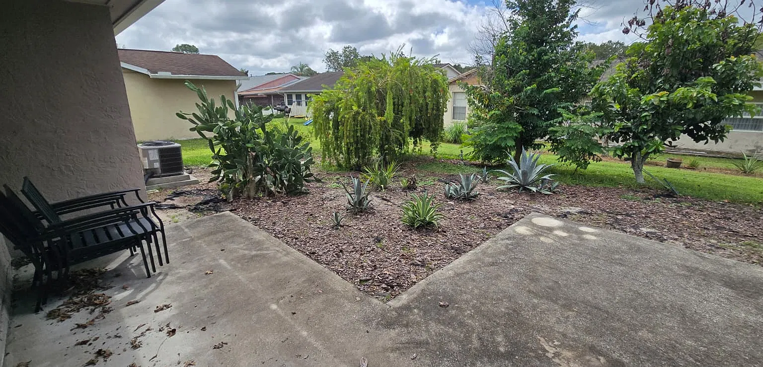 5014 Lady Bug Place - 1 — Photo 4