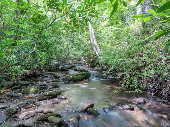 567 Leatherbreeches Drive, Tuckasegee, NC 28783