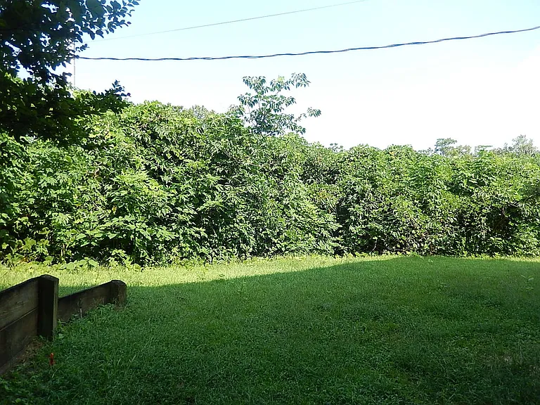 448 Belmont Rd #3 — Photo 17