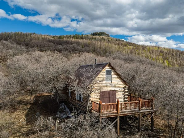 83880 Elk Ridge Trl, Crawford, CO 81415