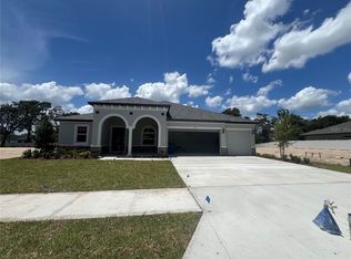 705 Nicewinter Dr, Spring Hill, FL 34609