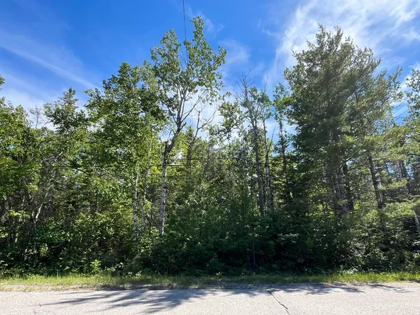 LOT 310 Kauffman Rd, Presque Isle, MI 49777