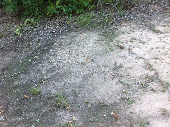 3rd image of 1.37 Harvey Road