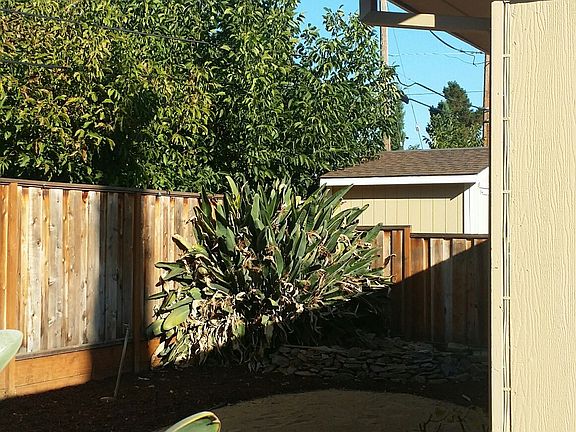 3rd image of 411 San Tomas Aquino Rd #2