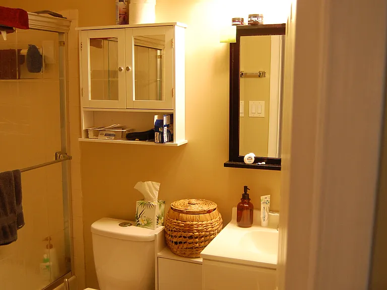 Attached Bathroom with Master Bedroom