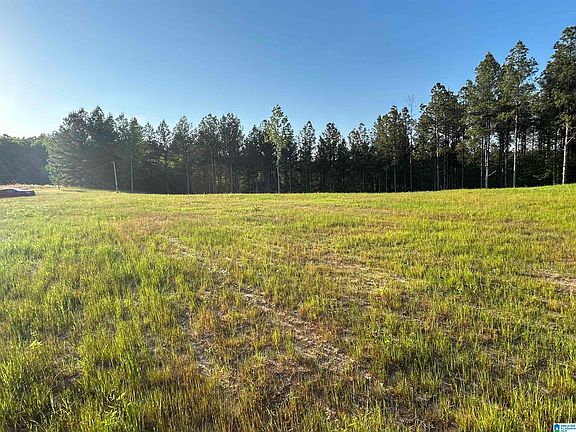 5th image of 0 County Road 367 #37
