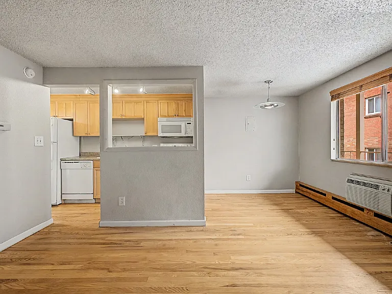 148 S Emerson St #203 — Photo 12