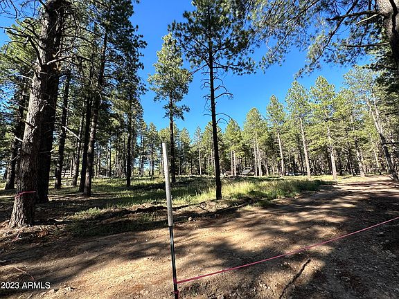 3rd image of 586A Old Munds Highway #5