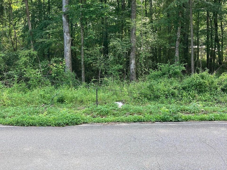 2nd image of 0 Lillard Rd