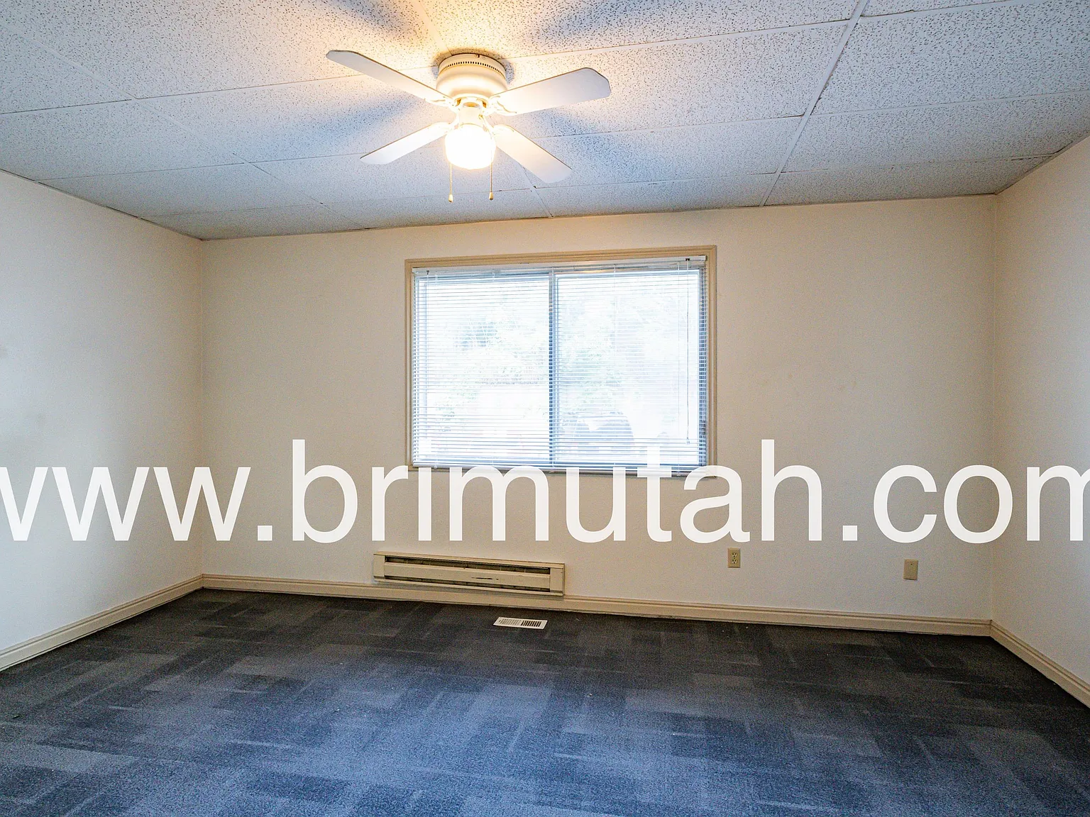 217 E. 3rd Ave. - 6 — Photo 4
