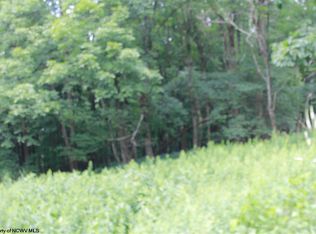 13 Meadows Rd E, Harman, WV 26270