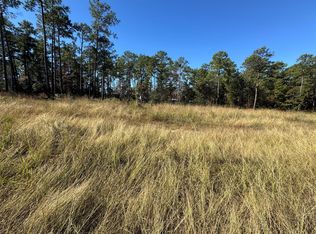 64 Private Road 6026 LOT 64, Brookeland, TX 75931