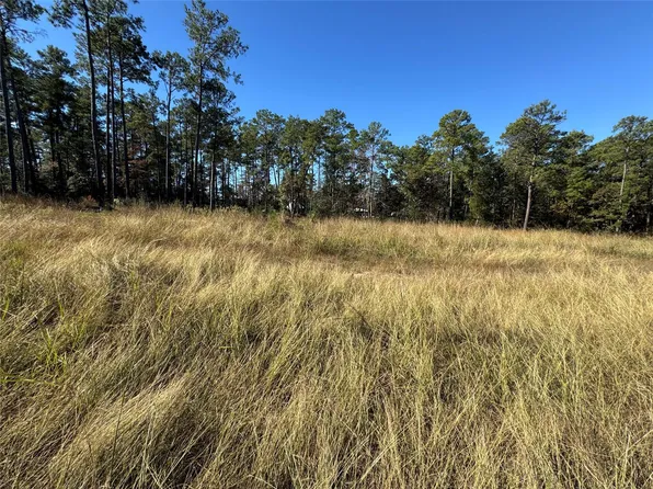 64 Private Road 6026 Lot 64, Brookeland, TX 75931