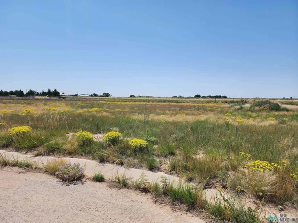 1821 Quail Wood Dr, Portales, NM 88130