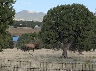 842 Vernon County Rd, Vernon, AZ 85940