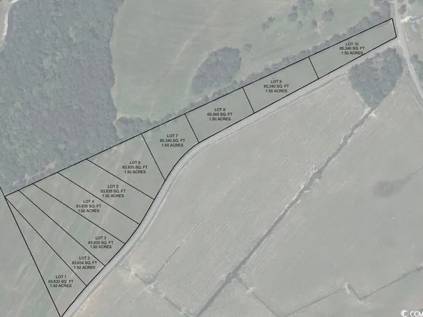 Lot 6 Gunters Island Rd., Galivants Ferry, SC 29544