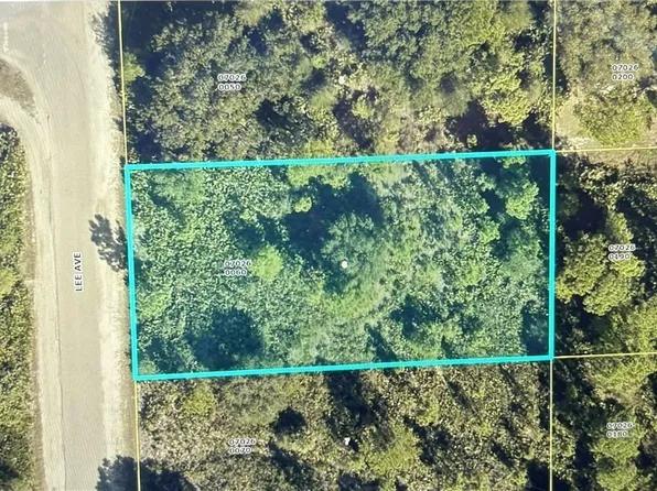 Lee Ave, Lehigh Acres, FL 33972