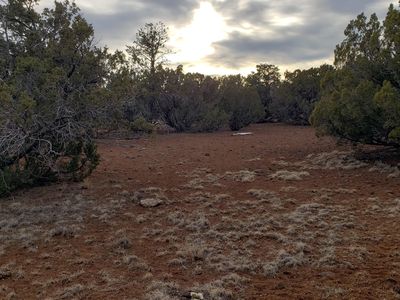 Not Numbered Or Named, Vernon, AZ, 85940