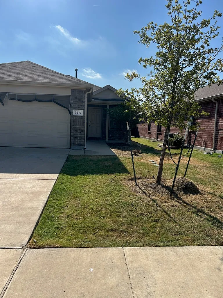 3 bed, 1491 sqft, $1,999 — Photo 3