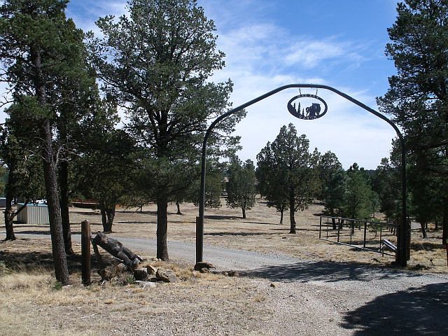 1st image of 217 Pinos Altos Ln