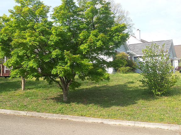 4th image of 3119 Kingsmore Dr