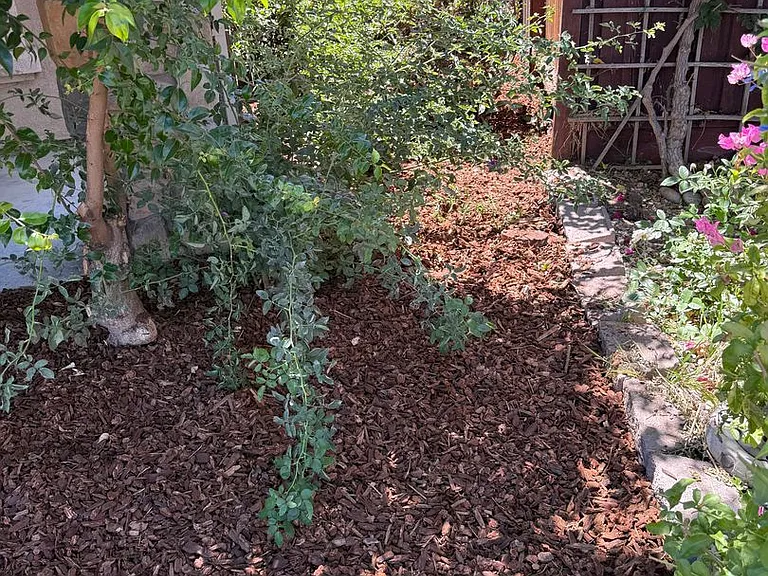 5575 Sunview Ct — Photo 7