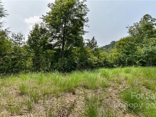 441 The Vines Blvd #15, Marshall, NC 28753