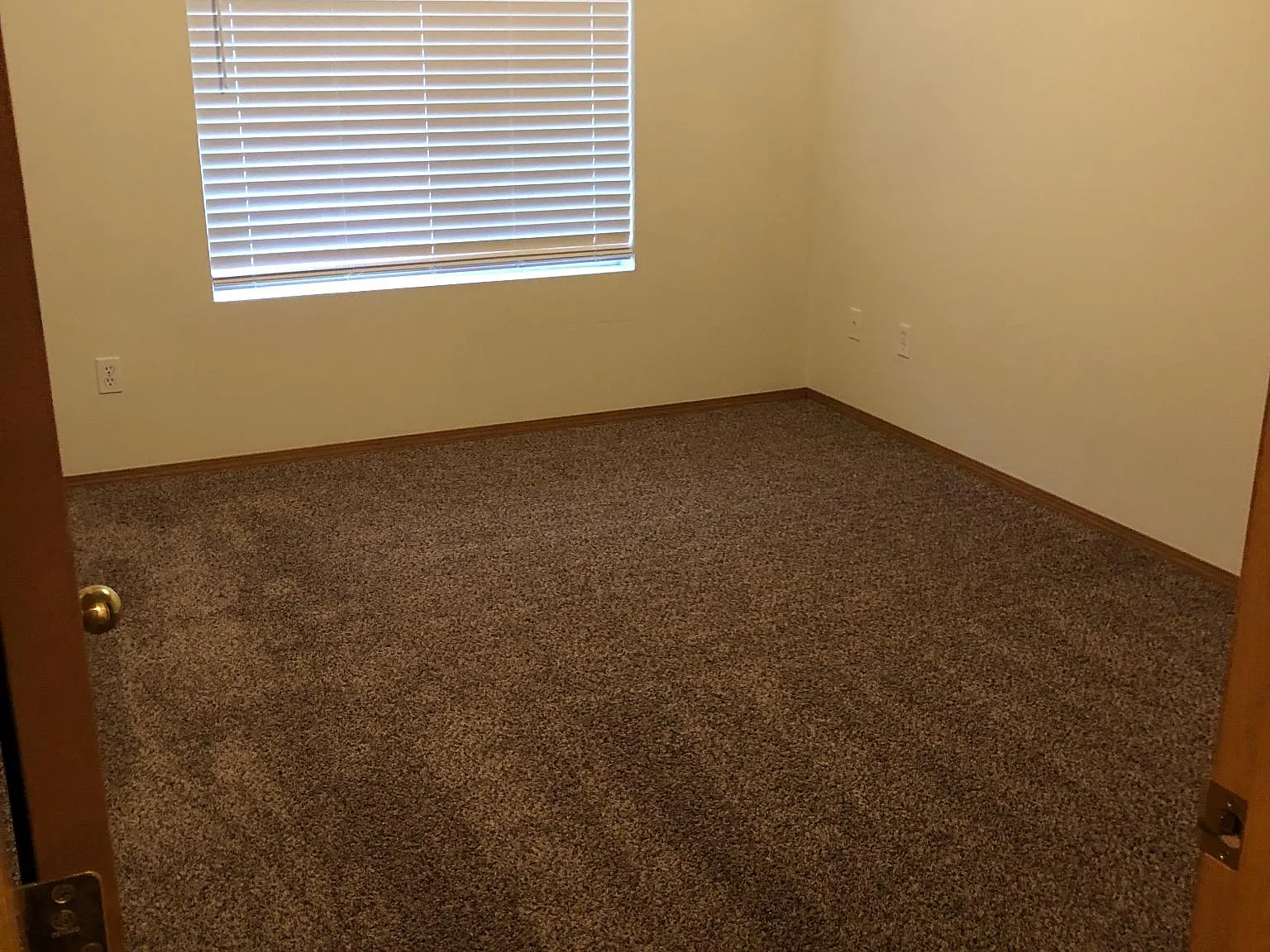 919 College Ln NE — Photo 1