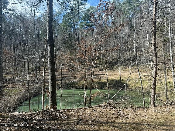 5th image of 425 Smokey Rd