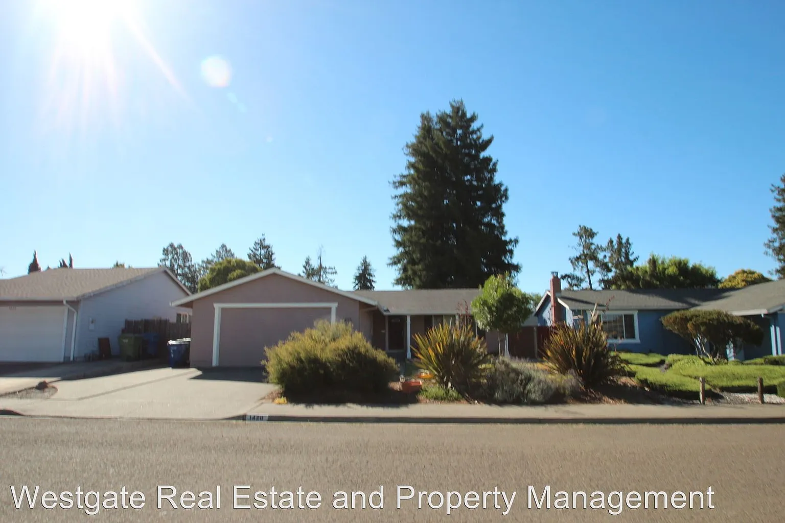 1420 Pheasant Dr photo 1