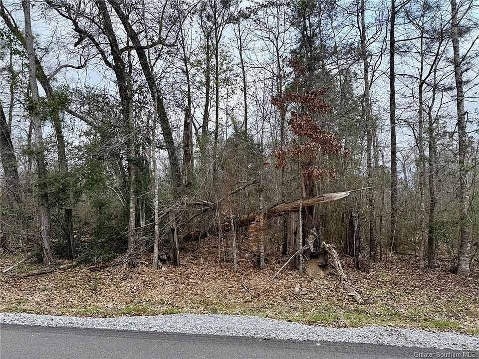2nd image of 0 Burl Lee Rd