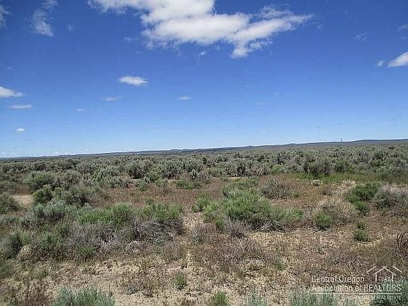 View from Lost Forest Ln