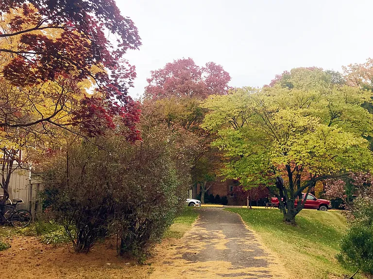 path behind house