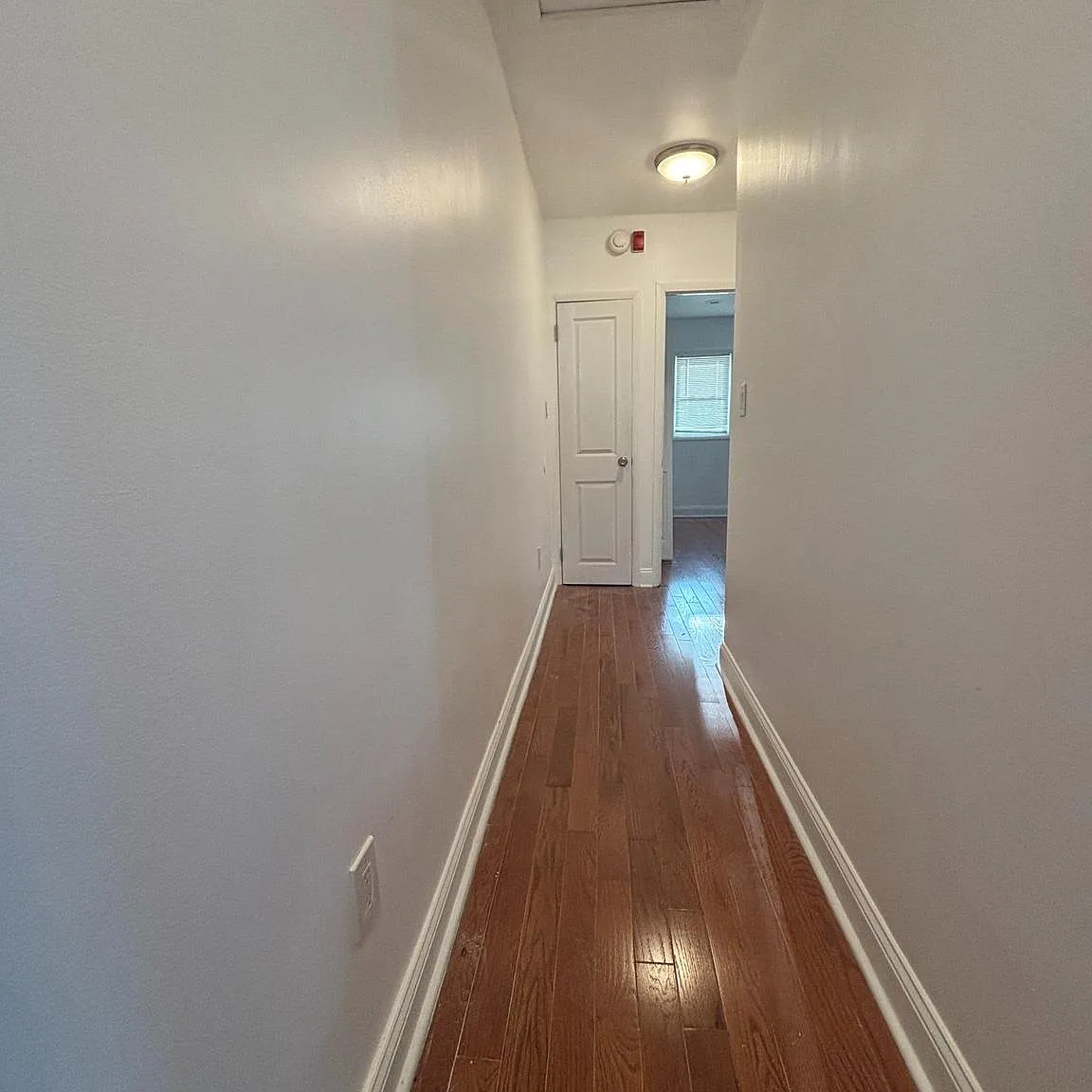 1 bed, 1266 sqft, $1,500 — Photo 1