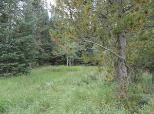 31 Catawba Ct, Red Feather Lakes, CO 80545