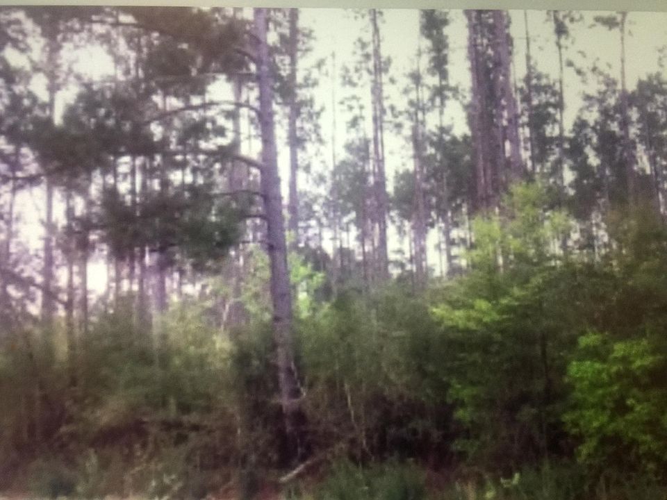 2nd image of Cannon Cemetery Rd