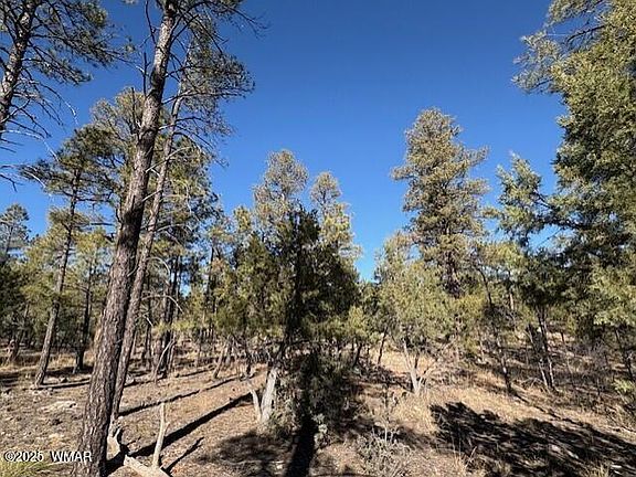 2nd image of 3211 W Black Oak Loop