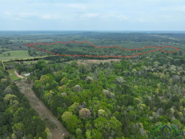 Easement Road Cres #2923, Hughes Springs, TX 75656