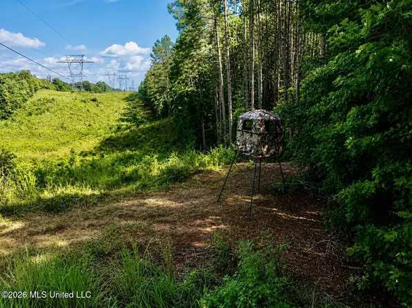 State Highway 9, Blue Springs, MS 38828
