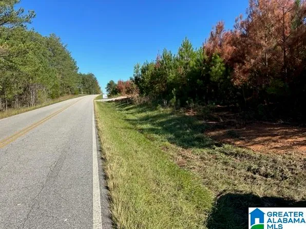 1940 County Road 59 Tract #1, Roanoke, AL 36274