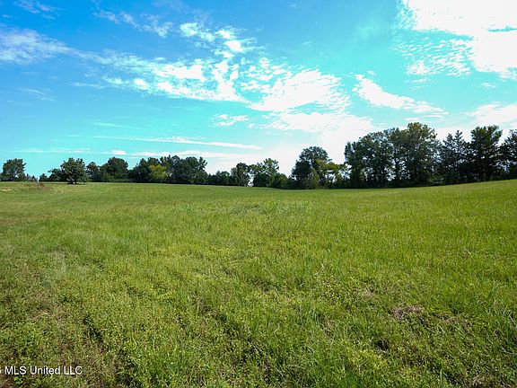 3rd image of Grand Oaks Way Lot 2