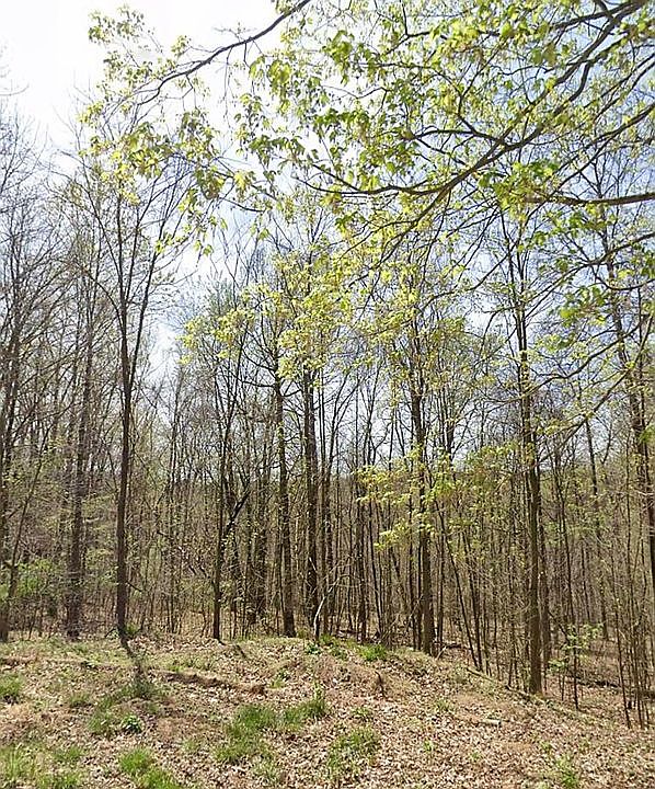 2nd image of 0 Pert Hill Rd #5