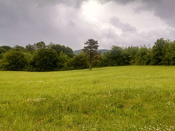 Mountain views from pasture